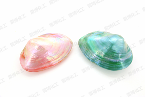 水性樹脂色漿助劑